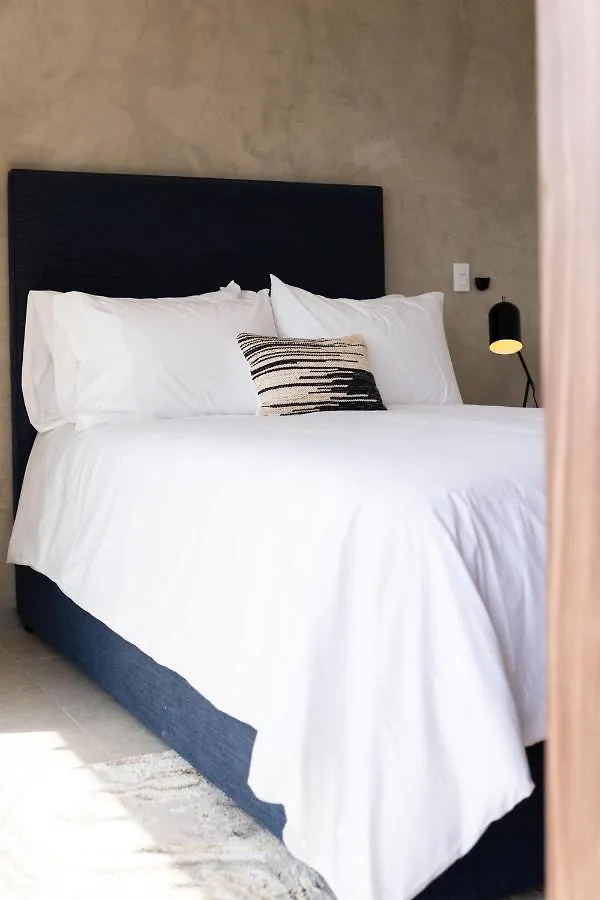 Fancy 3 Bedroom Apartments In Downtown Playa Rooftop Pool Gym Playa del Carmen 0*,