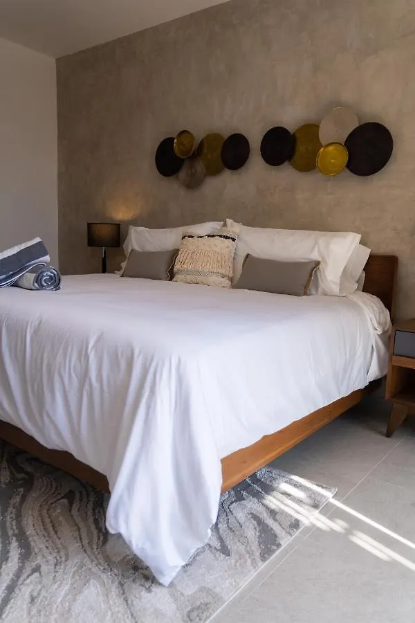 פלאייה דל כרמן Fancy 3 Bedroom Apartments In Downtown Playa Rooftop Pool Gym פלאייה דל כרמן