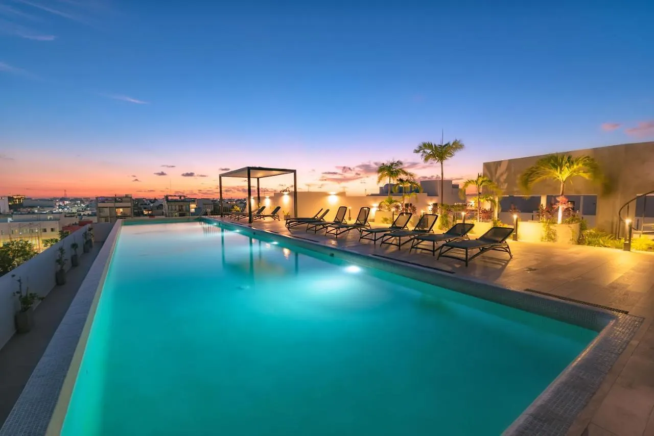 פלאייה דל כרמן Fancy 3 Bedroom Apartments In Downtown Playa Rooftop Pool Gym