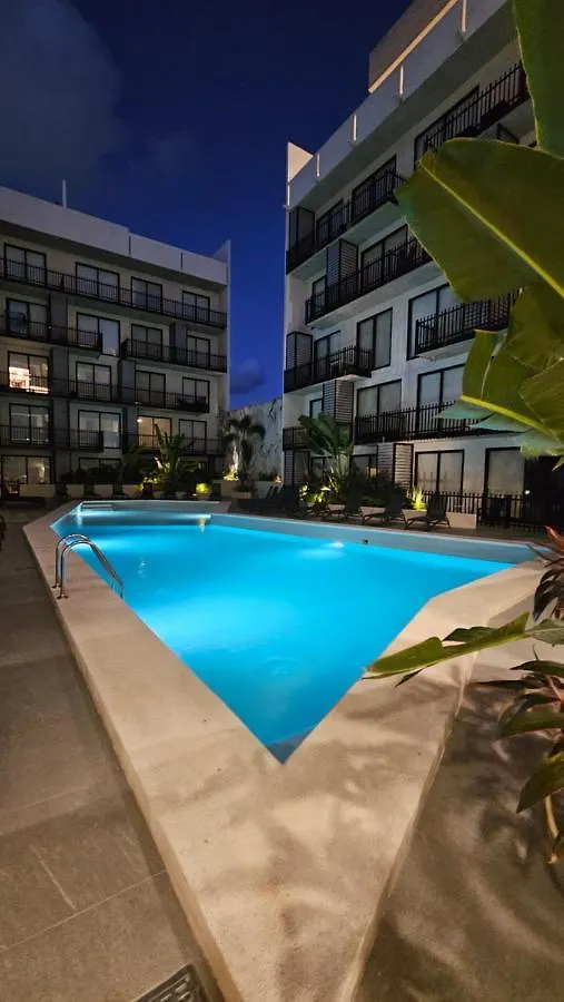 פלאייה דל כרמן Fancy 3 Bedroom Apartments In Downtown Playa Rooftop Pool Gym