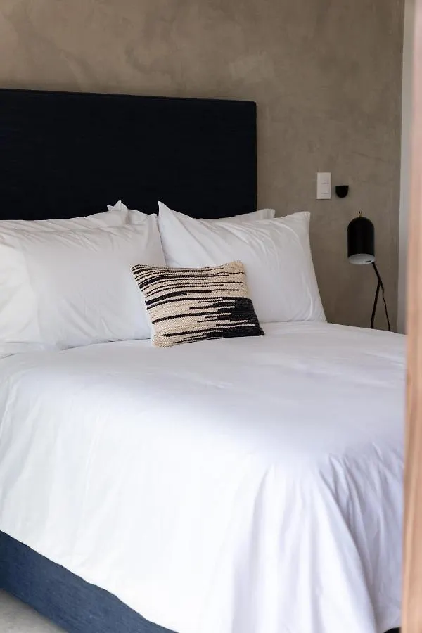 פלאייה דל כרמן Fancy 3 Bedroom Apartments In Downtown Playa Rooftop Pool Gym
