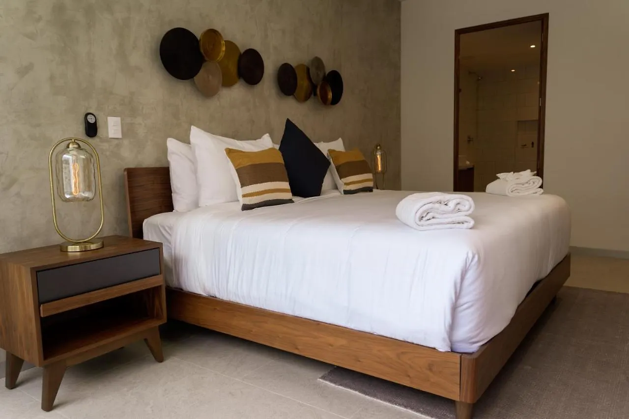 פלאייה דל כרמן Fancy 3 Bedroom Apartments In Downtown Playa Rooftop Pool Gym