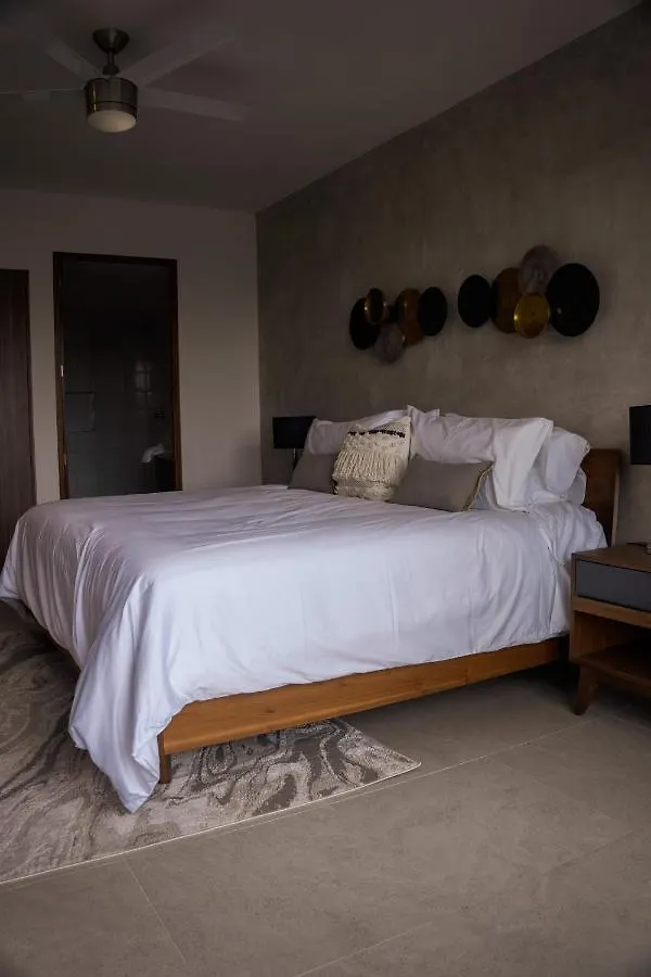 פלאייה דל כרמן Fancy 3 Bedroom Apartments In Downtown Playa Rooftop Pool Gym